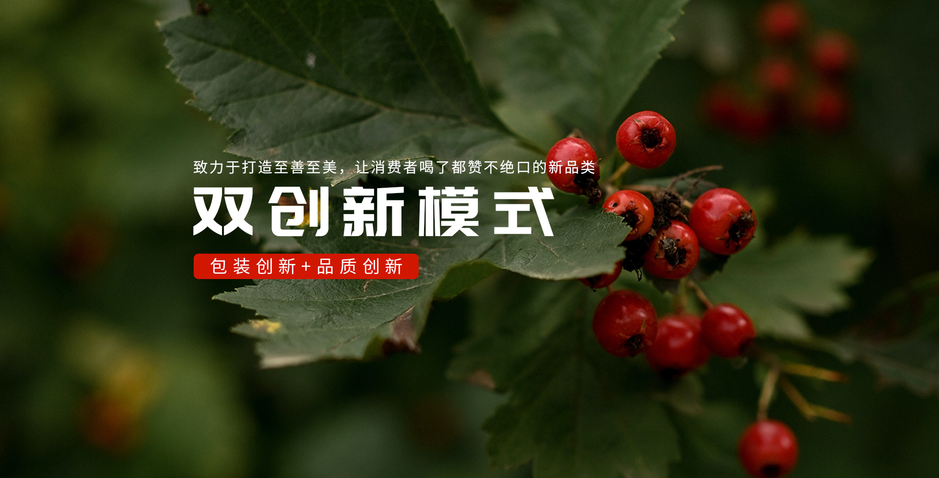 北京智慧元食品有限公司