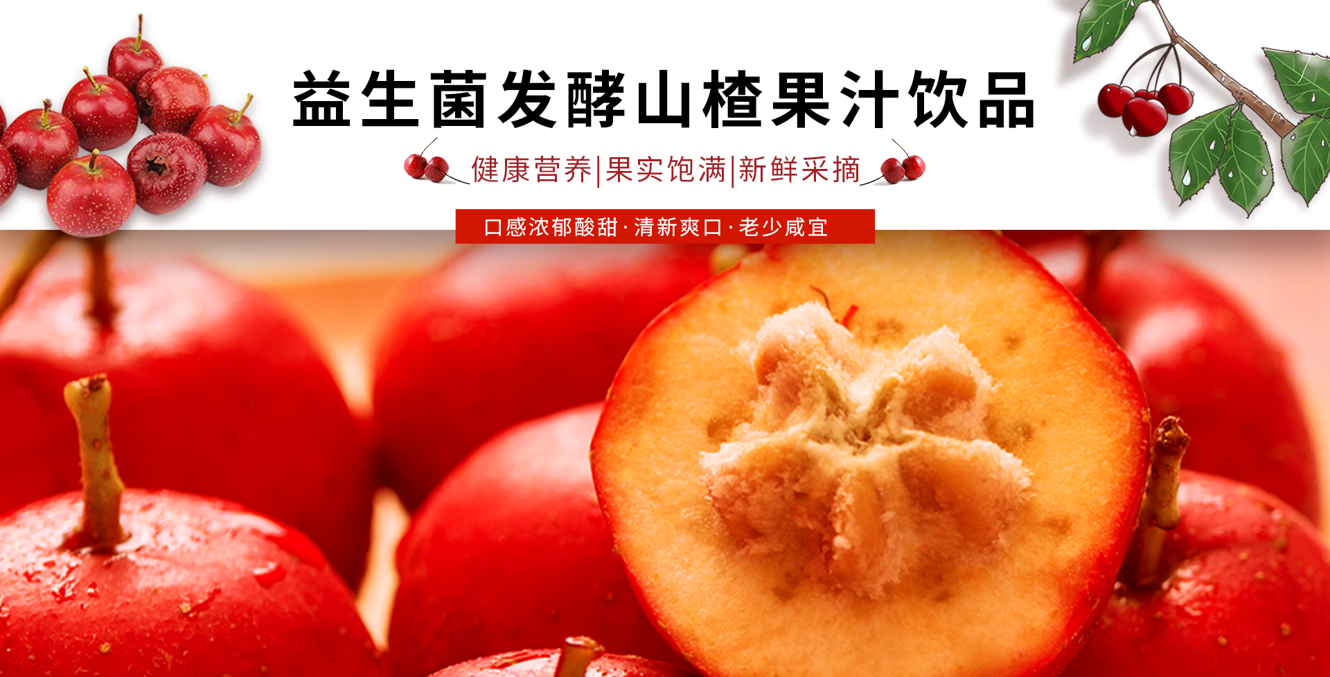 北京智慧元食品有限公司